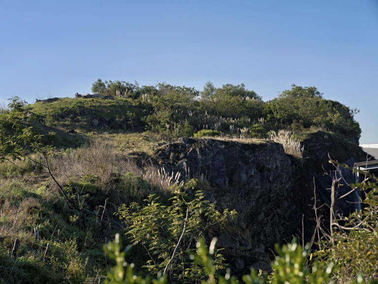 Matukutururu   Wiri Mountain   0002760