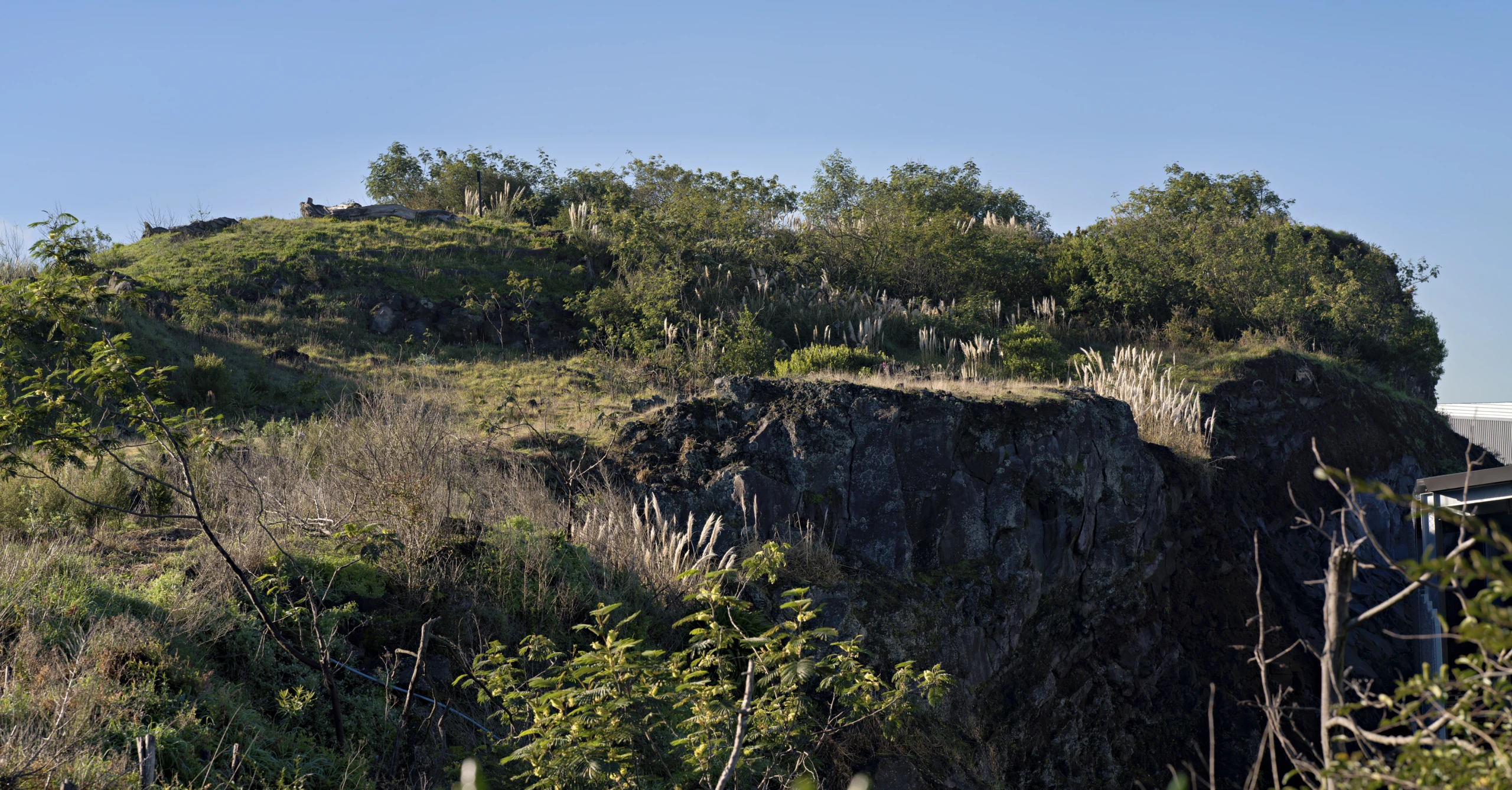 Matukutururu   Wiri Mountain   0002760