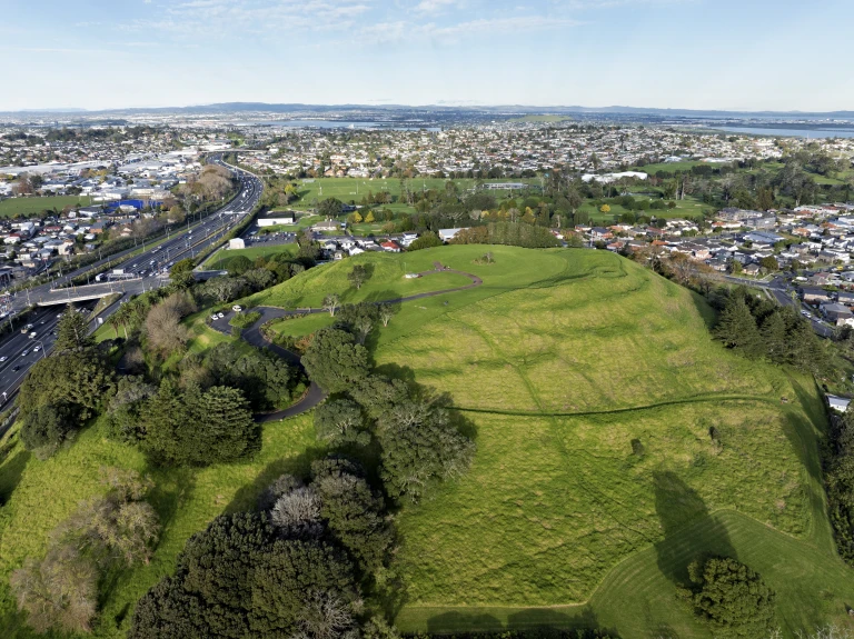 Pukewiwi   Puketapapa   Mt Roskill   0672