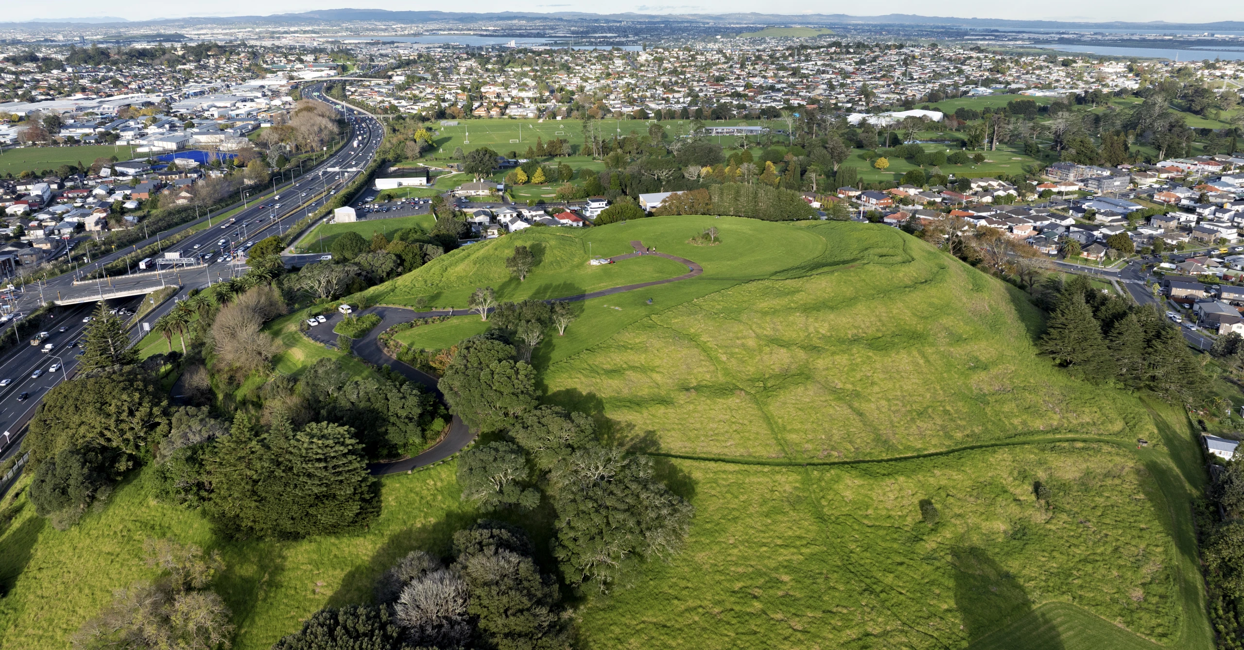 Pukewiwi   Puketapapa   Mt Roskill   0672