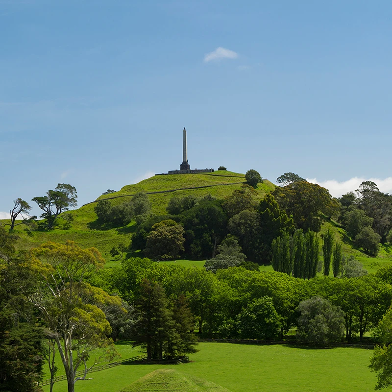 MAUNGAKIEKIE ONETREEHILL 800x800