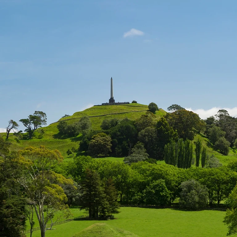 MAUNGAKIEKIE ONETREEHILL 800x800