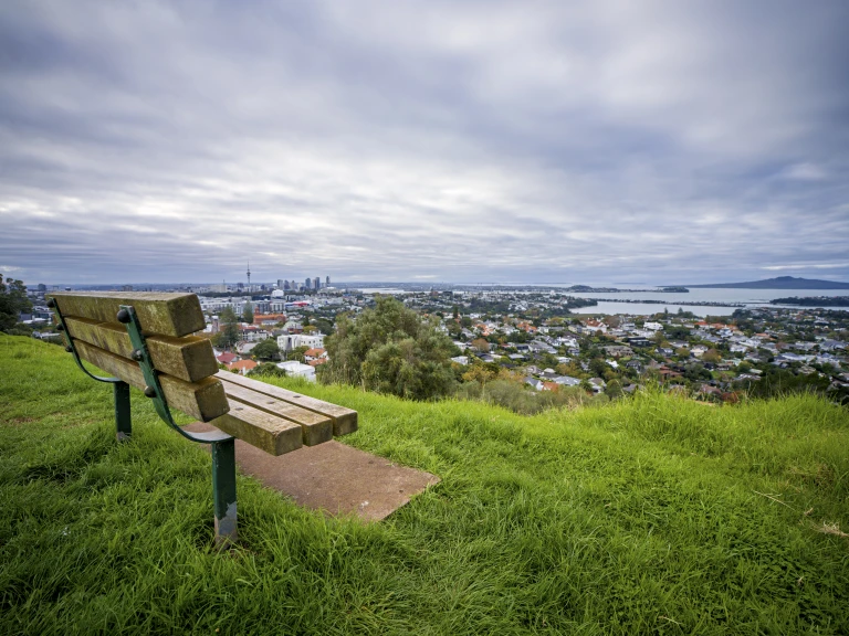 Ohinerau   Mt Hobson   0002049