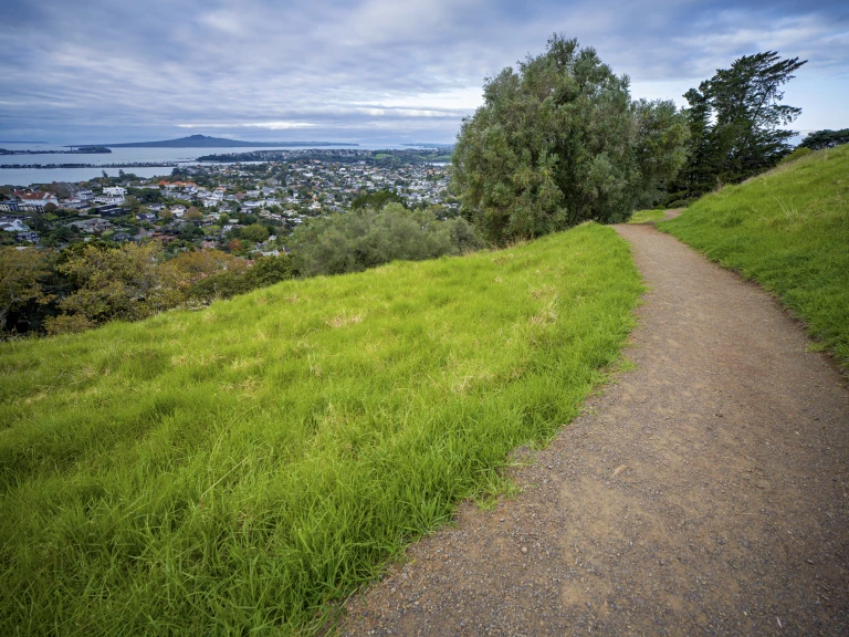 Ohinerau   Mt Hobson   0002053