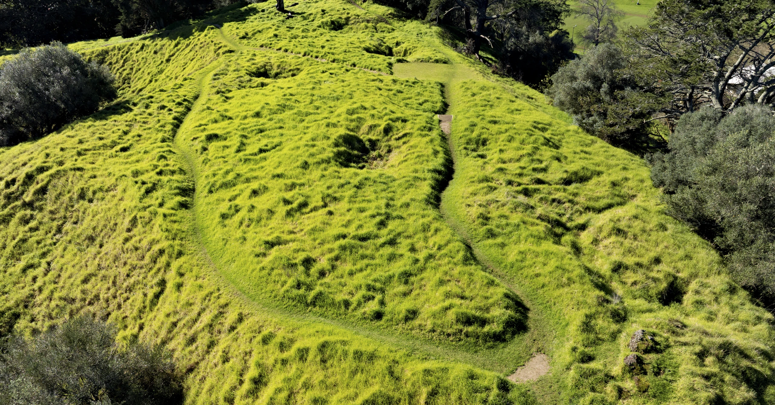 Otahuhu   Mount Richmond   0988