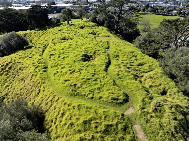 Otahuhu   Mount Richmond   0988