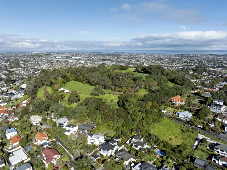 Owairaka   Puketapapa   Mount Albert   0626
