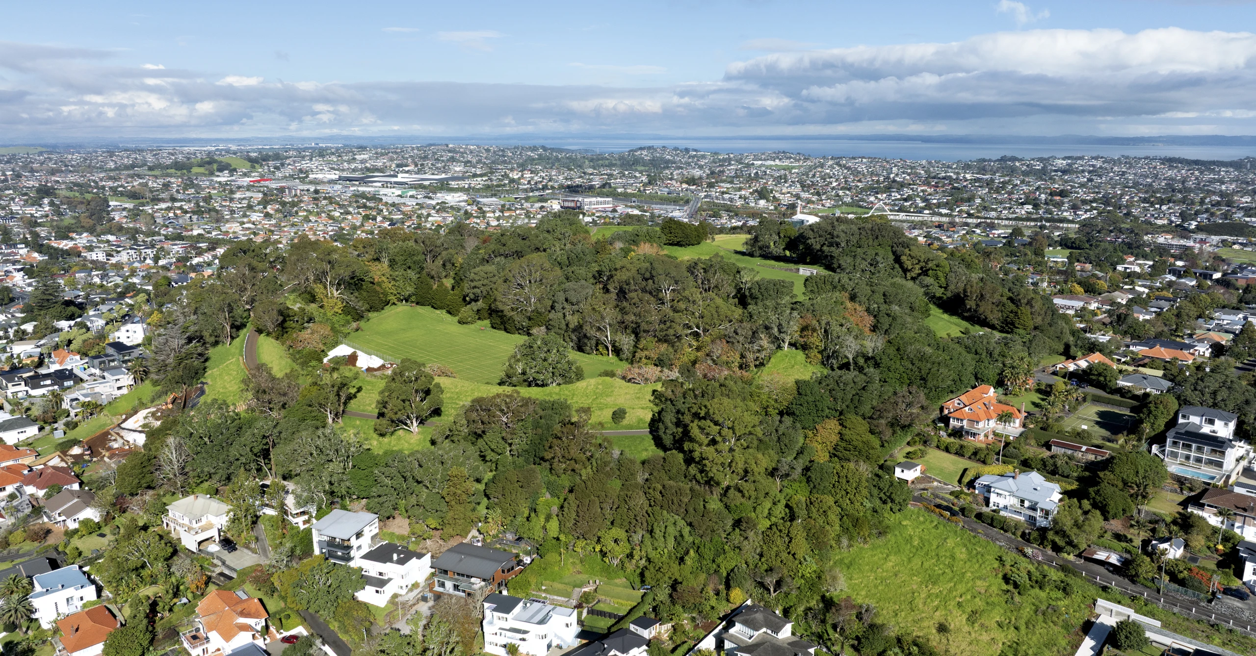 Owairaka   Puketapapa   Mount Albert   0626