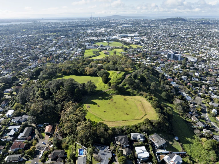 Owairaka   Puketapapa   Mount Albert   0637