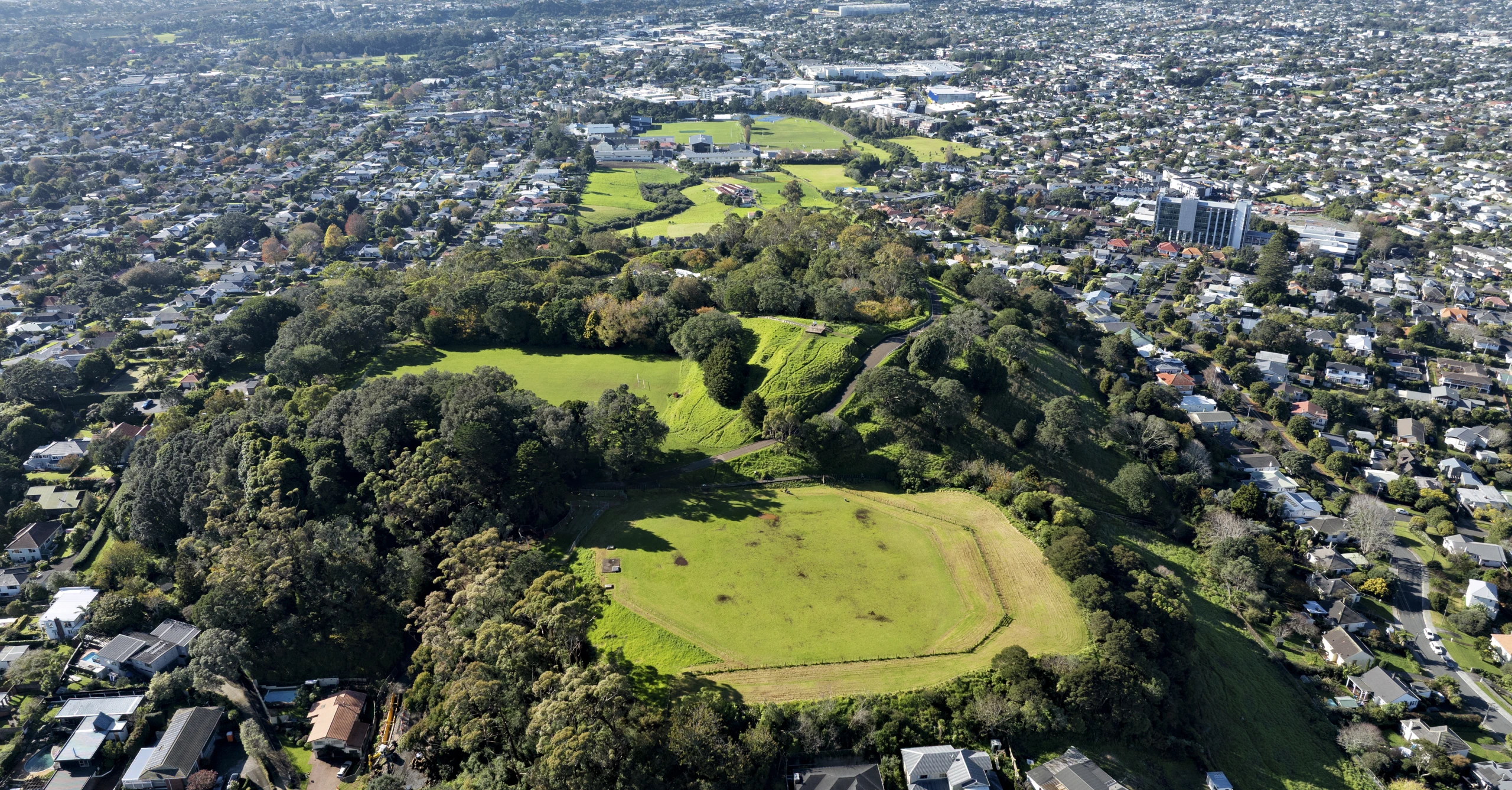 Owairaka   Puketapapa   Mount Albert   0637