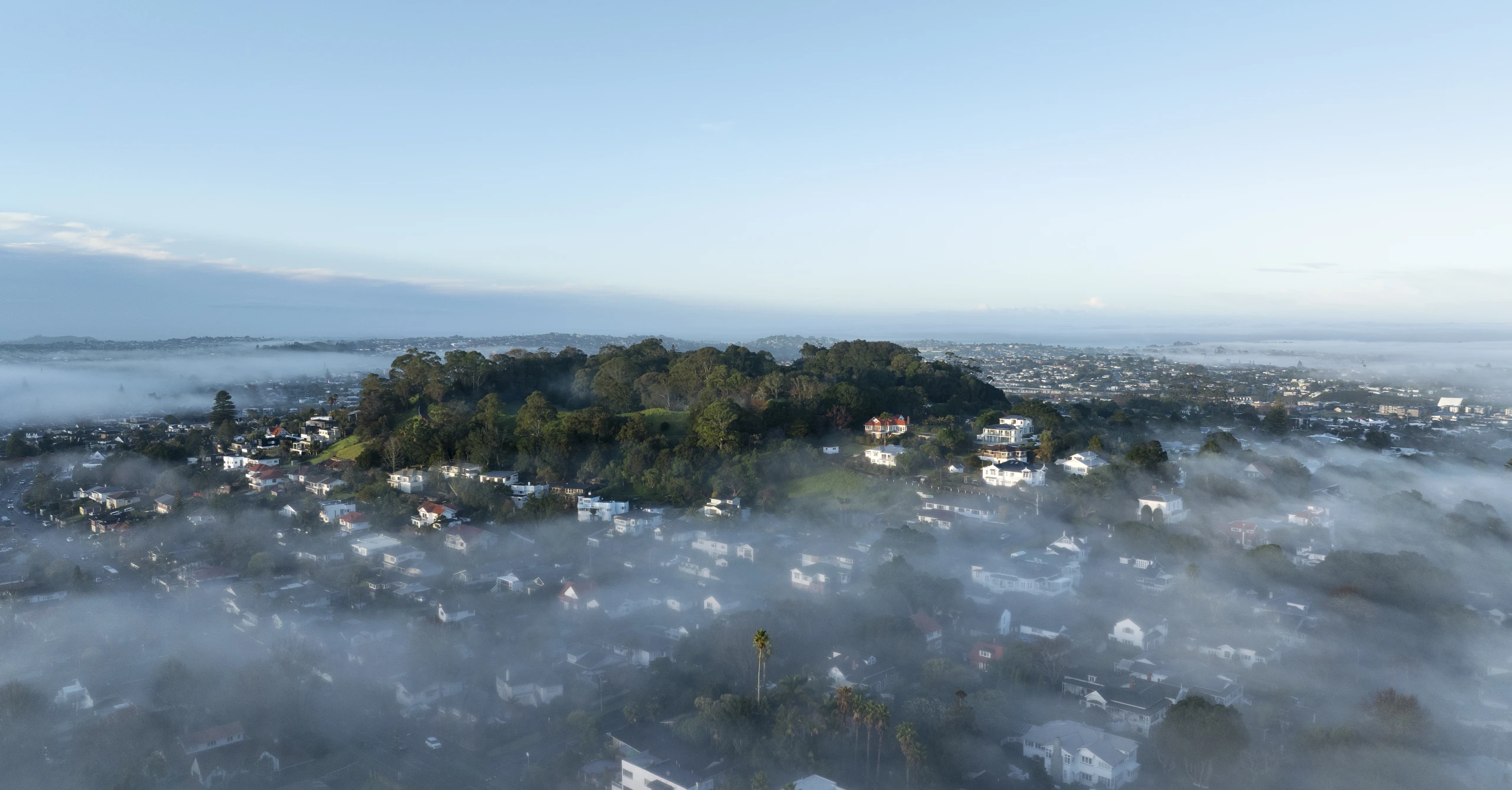 Owairaka   Puketapapa   Mount Albert   0897
