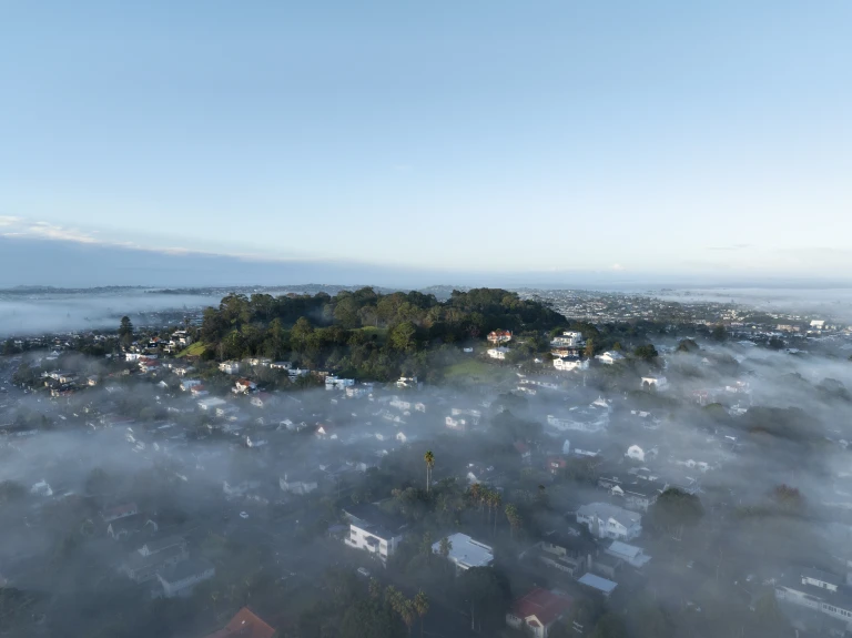 Owairaka   Puketapapa   Mount Albert   0897
