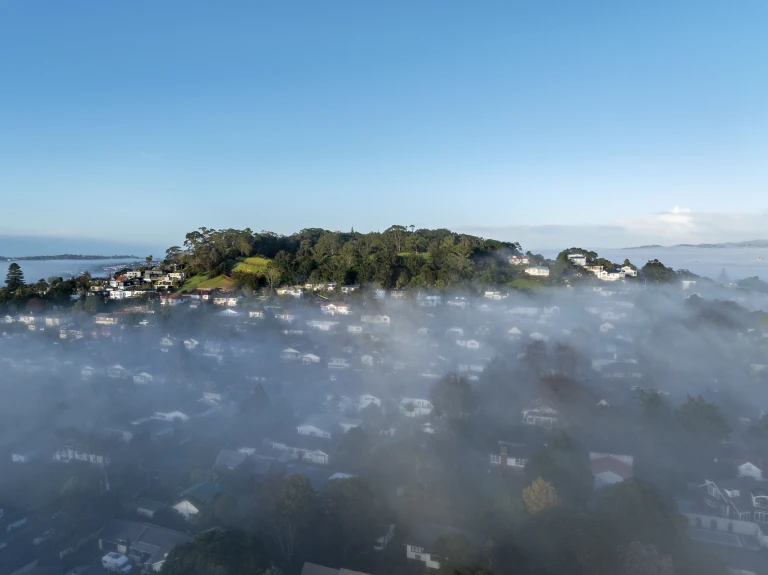 Owairaka   Puketapapa   Mount Albert   0911