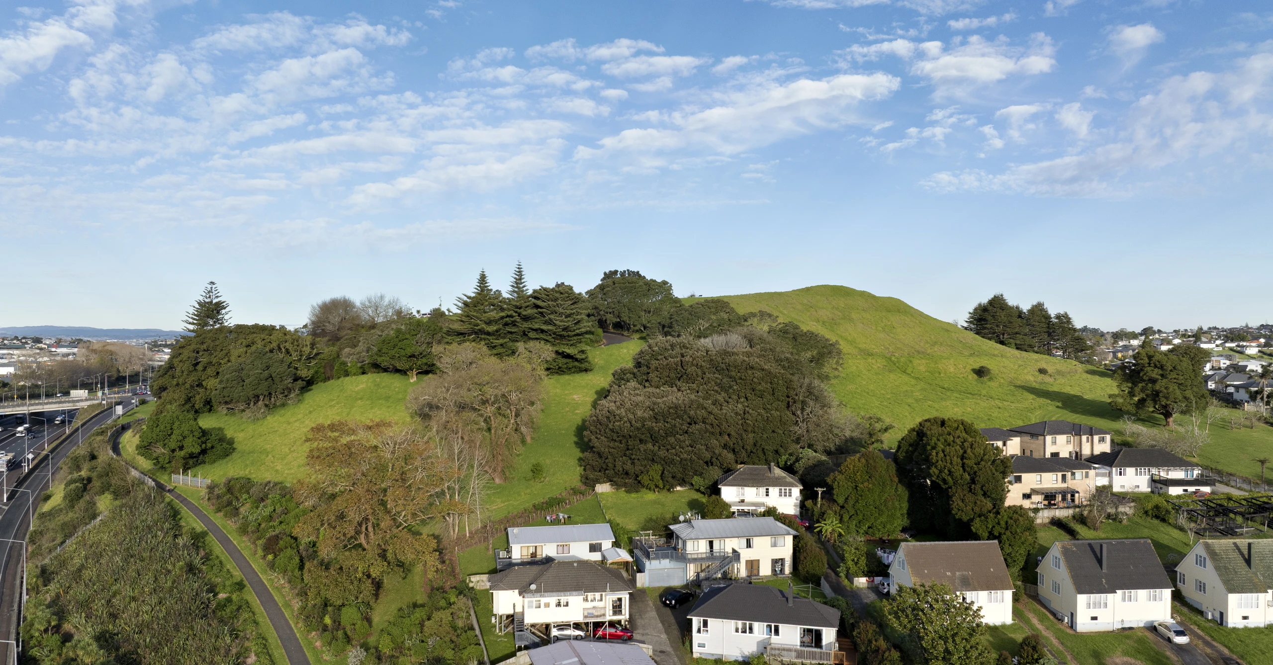 Pukewiwi   Puketapapa   Mt Roskill   0667