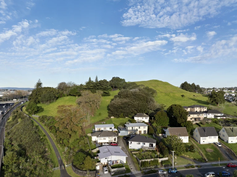 Pukewiwi   Puketapapa   Mt Roskill   0667