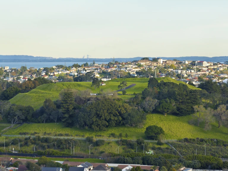 Pukewiwi   Puketapapa   Mt Roskill   0693