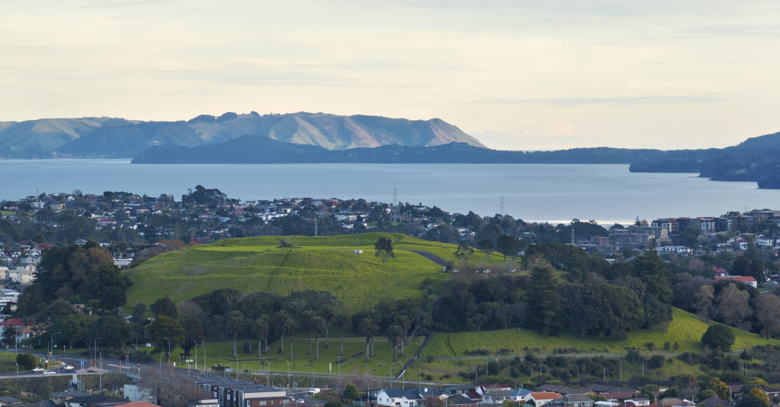 Pukewiwi   Puketapapa   Mt Roskill   0716