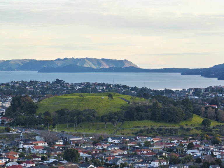 Pukewiwi   Puketapapa   Mt Roskill   0716