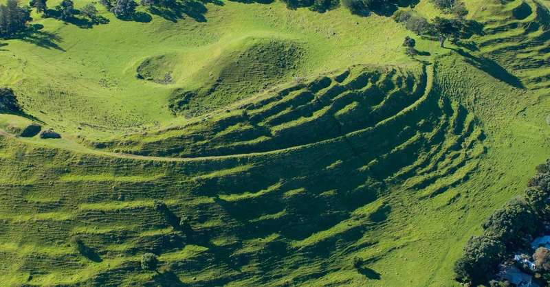 TE PANE O MATAOHO MANGERE 800x800